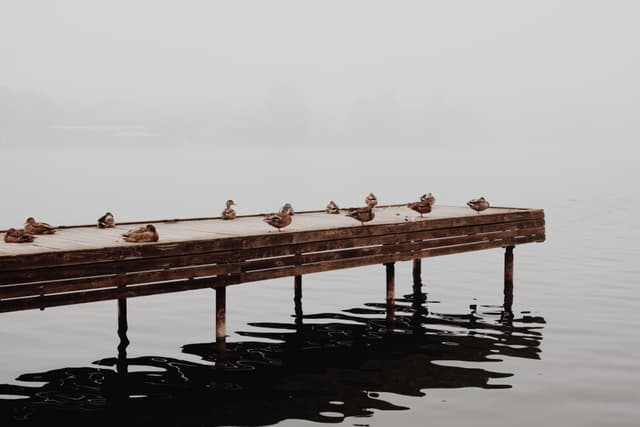 Processed with VSCO with m5 preset